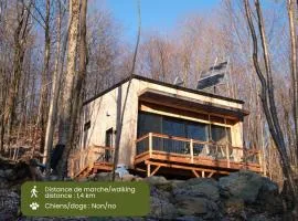 Cabin Zoobox 79
