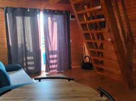Tiny House Ocnele Mari