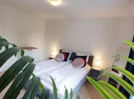 Apartment In The City With Free Parking