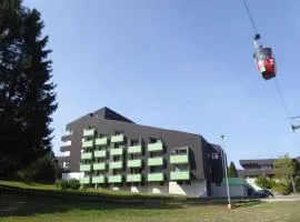 Nice apartment in Hahnenklee