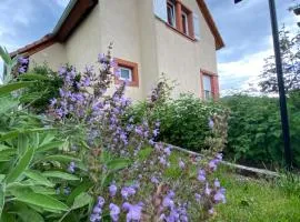 Le Refuge de l'Ours