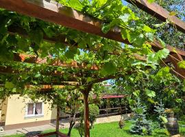 La mama Miha, hotel v destinaci Agigea