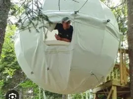 terrebioSatellite