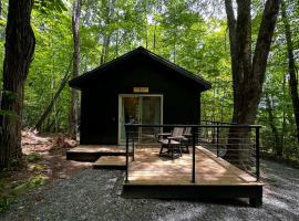Family Glamping Cabin-Can't Bear to Leave at Valley Bear Farms Resort, hotel v destinaci Balsam Grove