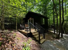 Couples Glamping Cabin-Bearly Behaving at Valley Bear Farms Resort, hotel v destinaci Balsam Grove