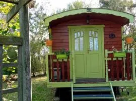 Roulotte bucolique en bois avec terrasse, Vallée de la Sarthe - FR-1-410-188