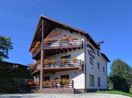 Pensiunea Beatrice, Hotel in Vatra Dornei