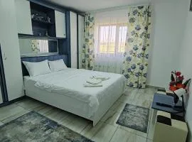 CASA ROTARU