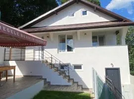 Casa NICORAD Apartamente