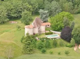 Incredible & quiet castle - Dordogne