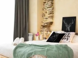 Val Aran acogedor apartamento con jardín y vistas