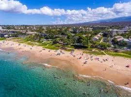 Chic Condo steps from White Sandy Beach Fast Wi-Fi