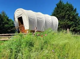 Covered Wagons Hill Camp - WAGON 2