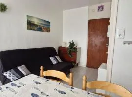 Studio 30m plage - Marina 5 - 31 allée des pinons - 1-1