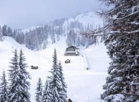 Hotel Alpen Arnika, hôtel à Tauplitzalm