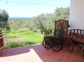 Villa Tirso - IUN S8237