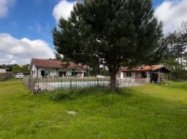 Maison chaleureuse entre pins et ocean