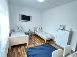 Appartement Schwanenstadt