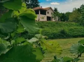 Apartmani Sumska Kraljica