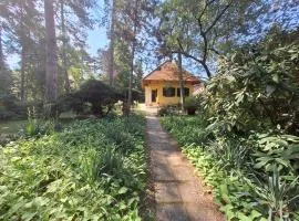 Vécsey Villa