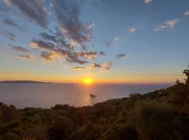 WildSunset