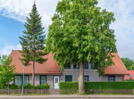 Egidijaus Vila, hotel a Nida