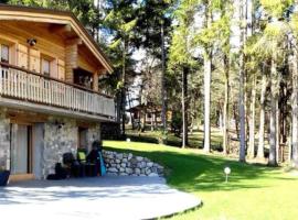 Chalet LES CLARINES, chata v destinaci Bluffy