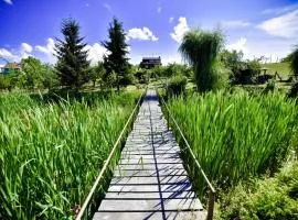 Garden of Eden