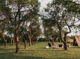 Śliwkowy Sad-Plum Orchard-Jura
