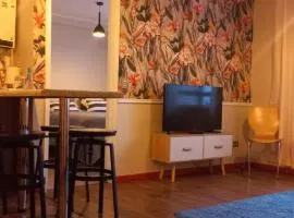 10 min del centro, 500 mt de la playa Pelluco, visita, disfruta y descansa