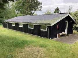Holiday home Fjerritslev XXXIX