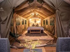 Langa Langa Safari Camp - Inc 2 Kruger Safaris Daily