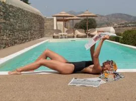 Halcyon Suites and Villas Naxos