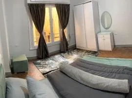 Silver Downtown Apartment