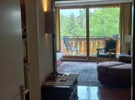 Apartment 24 Hotel Etrier pool & spa