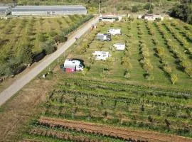 Tenuta Naturale