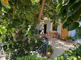 Albi's Guesthouse