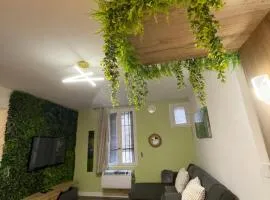 Magnifique Appartement Avignon Intra-Muros