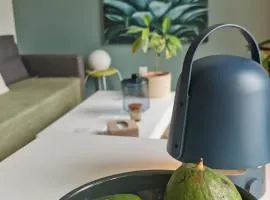 Appart T2 l'île de Nantes avec parking privé