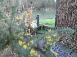 the reedy cabin