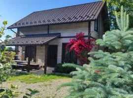 Котедж Кресаня