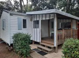 Mobil Home Confort G 07