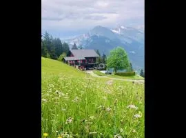 Bergpension Battagliahütte