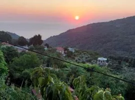 Hara's House Pelion