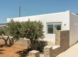 Andriana's 1 - Cycladic Home with Garden , Paros