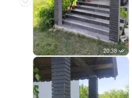 Summer house in Belgrade