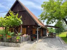 Domačija Brdar