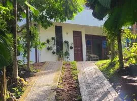 'Kolamba Gedara' green apartment