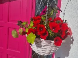 The Pink Door