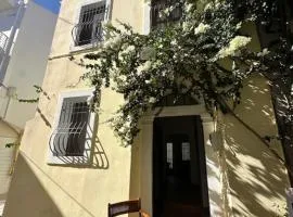 Old Town Traditional House